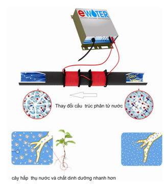 Thiết bị Ewater tăng hoạt tính nước và chống vôi bám trên đường ống